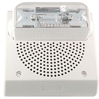 Речевой комбинированный оповещатель ET70WP-24185W-FW